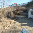 사임당로 114 이미지