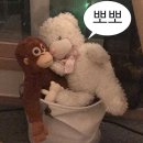 지비짐 - 유성구 신성남로 51 | 지비짐