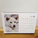 2025년 강아지 커스텀 캘린더 달력마트 에서 맞춤 제작 했어요