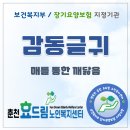 춘천효드림노인복지센터 이미지