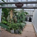 [전주/완주 여행] 대아수목원 .식충 식물원.2..........71 이미지