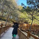 스테이연가 민박 | [국내온천] 속초 척산온천_관광_낙산사