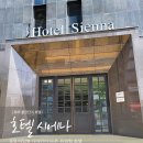 호텔시에나 | 파주 출판단지 호텔 시에나 재방문 후기