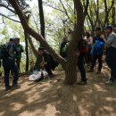 양천초등학교 이미지
