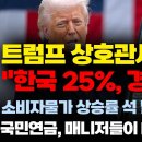 (경제한스푼) 트럼프 상호관세 한국 25% 부과.. 경제 충격 #박시동 #시동위키 #트럼프 이미지