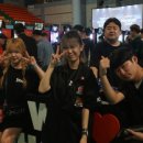 피닉스애견미용 이미지