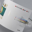 노바블룸디자인 이미지