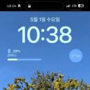 [일상]사월 멍멍🐶