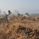 경기묘 이미지