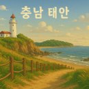 태안바다 | 🌊 충남 태안 여행 후기 — 바다, 꽃, 그리고 힐링 가득한 하루