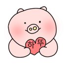 모아피자치킨 이미지