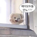 광야 아트센터 | 광야 아트센터 요한계시록 뮤지컬 후기