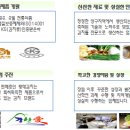 맛짱김치 이미지
