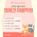 몽실몽실애견미용 이미지