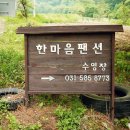 한마음펜션 - 영월군 동강로 486 | 한마음펜션