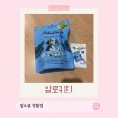 뚜리 | 알로키친 강아지덴탈껌 알로츄 덴탈껌, 뚜리의 산뜻한 구강 간식 후기