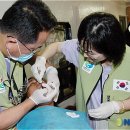 지구촌내과 뉴시스