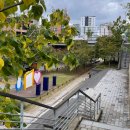 10월23(목)오전10시아침건강걷기 경의선 숲길걷기 이미지