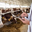 약초동물병원 이미지