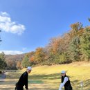 (주)보현메탈 | 노캐디 골프 2인 플레이 천룡 퍼블릭 CC 후기