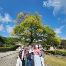 전남여행지추천 가볼만한곳 강진 여행 코스 다산유적지 강진숙소 까지