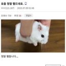 일이삼사 이미지