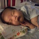 아그얼라 이미지