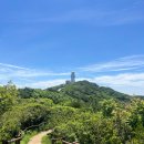 웅장한 후레쉬마트 청도점 | 대구 비슬산 둘레길 끝판왕, 비슬청도둘레길 22K 난이도와 실전 팁