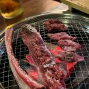 소락 이미지