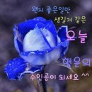 하나오토밋션 이미지