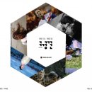 [사진전 소개] 캐논갤러리, 6人 6色 현직 사진기자들의 단체사진전 ‘구경꾼’ 개최(1월 10일(목) ~ 2월...