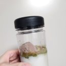 미교스시 이미지