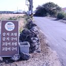 달고기네은갈치