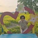 청주 무심천 유채꽃, 도시농업페스티발(2025. 5. 2.) 이미지