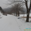 임신마을 이미지