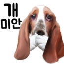 태산 우리동물병원 이미지