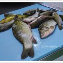 찜이야기 이미지