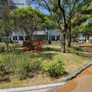 대구광역시 서구청 이미지