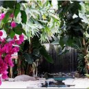 천운농장-2 이미지