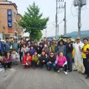 요도천변길 이미지