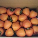 한정농장 이미지