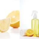 레몬 이미지