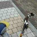 더기미용실 이미지