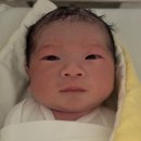 5월 3-5주차 만쥬일기 (5월 후쿠오카여행,시오콘부,이케아광명점,짱구라면스토퍼)