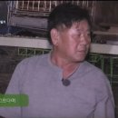 자연인