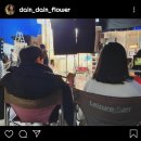 DAIN9(다인9) 이미지