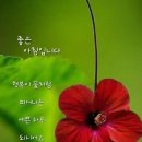 예쁜하루 이미지