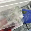 변비 다이어트 직빵 디톡스 해독주스 추천 쿠쿠팜 클렌즈주스 후기