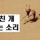 솔트밀 이미지