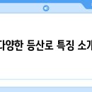 황매산등산로 이미지